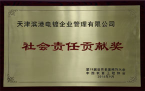 社會(huì)責(zé)任貢獻(xiàn)獎(jiǎng)