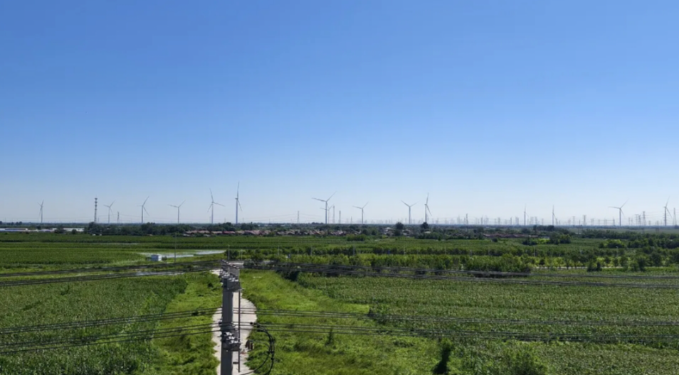 世界地球日｜守護(hù)資源，促進(jìn)人與自然和諧共生