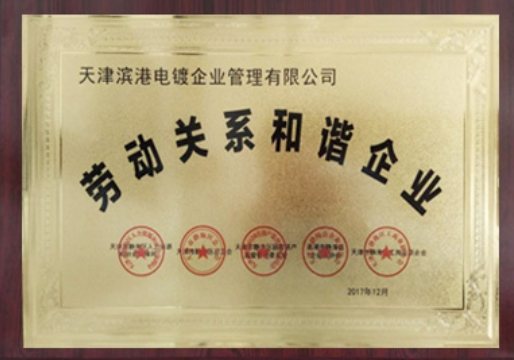 勞動(dòng)關(guān)系和諧企業(yè)