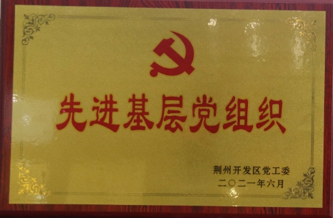 先進(jìn)基層黨組織