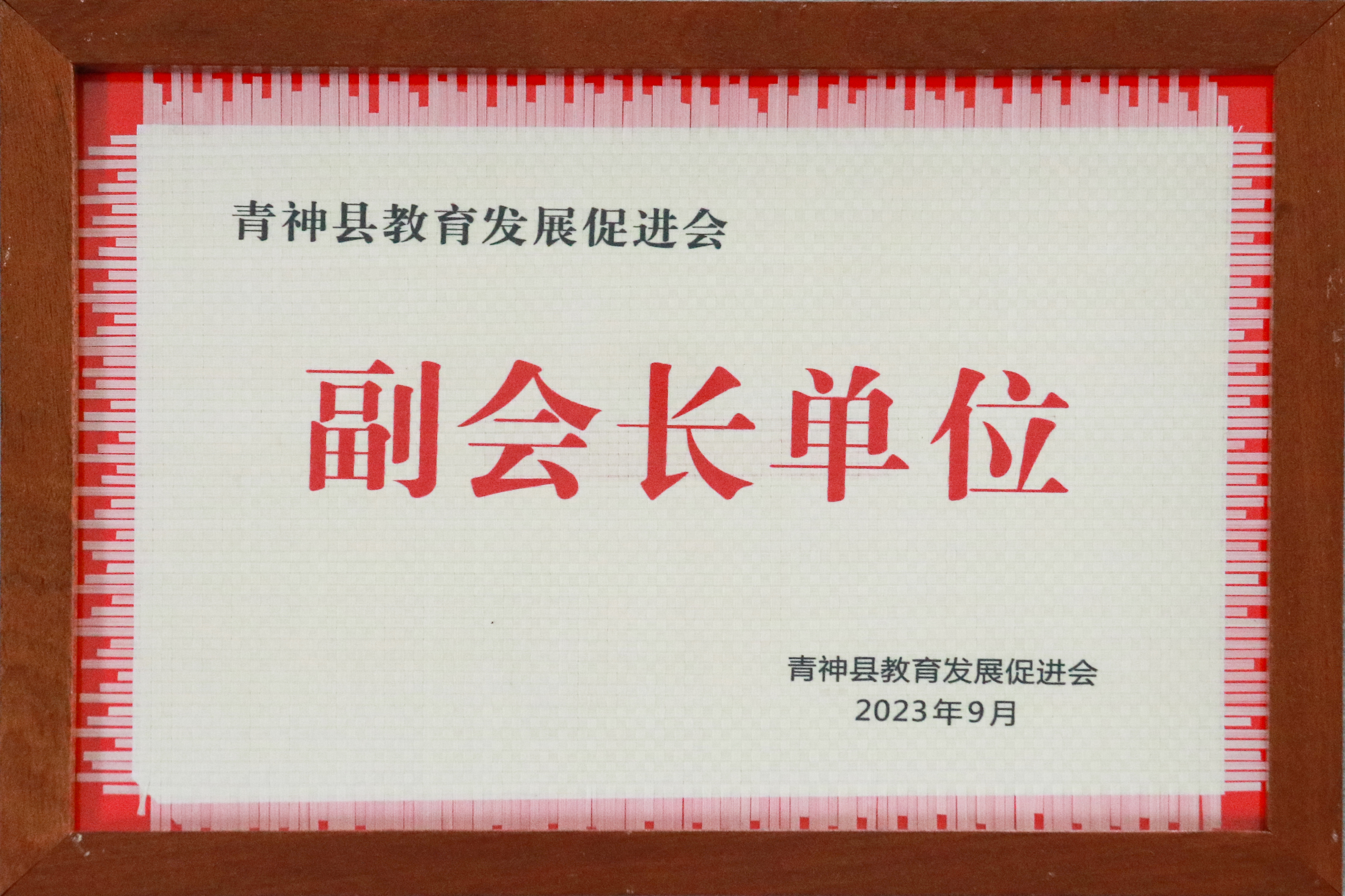 青神縣教育發(fā)展促進(jìn)會(huì)副會(huì)長(zhǎng)單位
